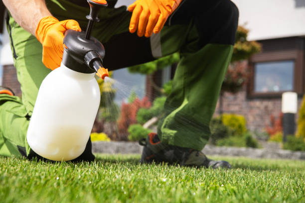 Best Pest Inspection Near Me  in Asheville, NC