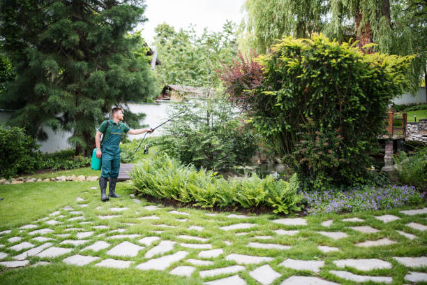 Best Best Pest Control Companies  in Asheville, NC