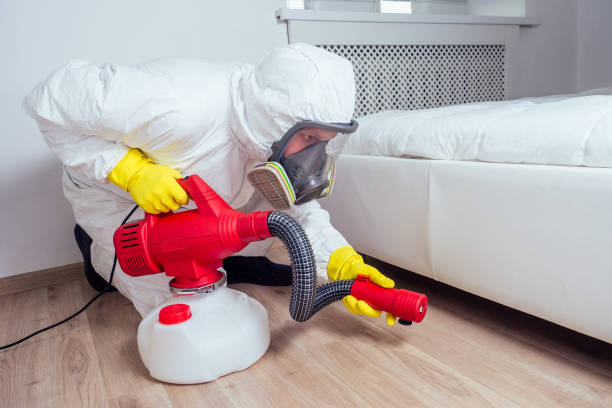 Best Wasp Removal Services  in Asheville, NC
