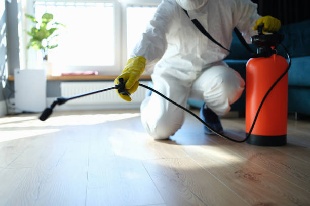 Best Termite Control Services  in Asheville, NC
