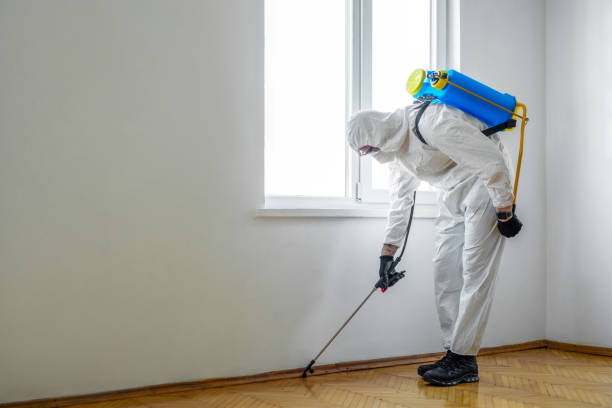 Best Commercial Pest Control Services  in Asheville, NC