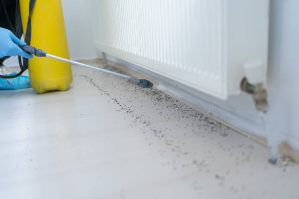 Best Pest Control Cost  in Asheville, NC