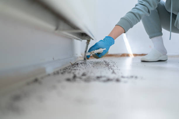 Best Termite Control Services  in Asheville, NC